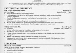 Sample Resumes for Experienced It Professionals Sample Cover Letter Sample Resume Experienced Professional