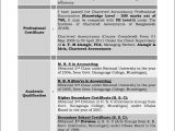 Sample Resumes for Experienced It Professionals Sample Resume for Experienced Professional Free Samples
