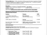Sample Resumes for Experienced It Professionals Sample Resume format for Experienced It Professionals Doc