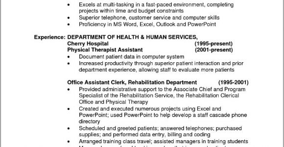 Sample Resumes for Experienced It Professionals Sample Resume format for Experienced It Professionals