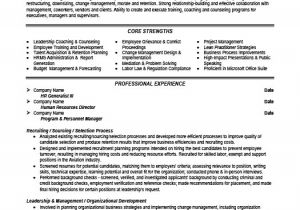 Sample Resumes for Hr Professionals Senior Hr Professional Resume Template Premium Resume