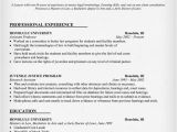 Sample Resumes for Lawyers Best Letter Samples Lawyer Resume