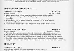 Sample Resumes for Lawyers Best Letter Samples Lawyer Resume