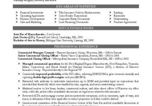 Sample Resumes for Lawyers Lawyers Resume Free Excel Templates