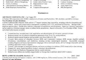 Sample Resumes for Lawyers Lawyers Resume Free Excel Templates