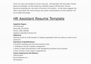 Sample Resumes for People Over 50 Sample Resumes for People Over 50 Lovely Sample Resume for