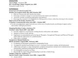 Sample social Work Resume social Work Resume Objective Statement