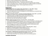 Sample Template Of Resume Usa Jobs Resume Builder Learnhowtoloseweight Net
