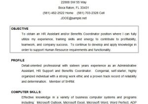 Samples Of Career Objectives On Resumes 61 Resume Objectives Pdf Doc Free Premium Templates