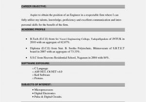 Samples Of Career Objectives On Resumes Best Career Objective for Resume 2016