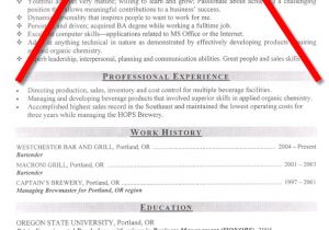 Samples Of Objective Statements for Resumes Resume Objective Example How to Write A Resume Objective