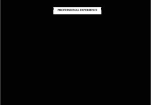 Samples Of Professional Resumes Administrative Professional Resume