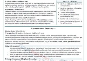 Samples Of Professional Resumes Executive Resume Samples Professional Resume Samples