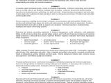 Samples Of Professional Summary for A Resume 8 Resume Summary Samples Examples Templates Sample