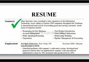 Samples Of Professional Summary for A Resume Professional Summary On Resume Project Scope Template