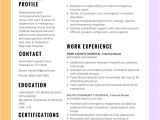 Samples Of Resumes 2017 Job Resume Template 2017 Learnhowtoloseweight Net