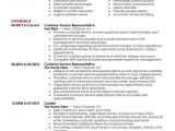 Samples Of Resumes for Customer Service Representative Best Retail Customer Service Representative Resume Example