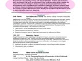 Samples Of Resumes with Objectives Cv Objective Statement Example Resumecvexample Com