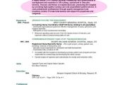 Samples Of Resumes with Objectives why Resume Objective is Important