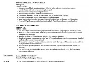 Sap Basis Administrator Resume Sample Sap Basis Administrator Resume Samples Velvet Jobs