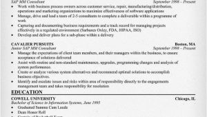 Sap Bi Resume Sample for Fresher Sap Mm Consultant Resume Resumecompanion Com Resume