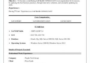 Sap Bpc Resume Samples 2012 Bpc Financial Template Hondaarti org