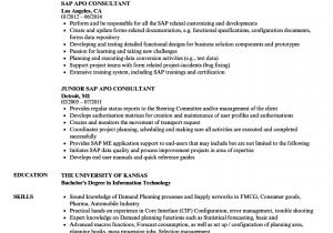 Sap Bpc Resume Samples Sap Bpc Resume Samples Nyustraus org Exaple Resume and