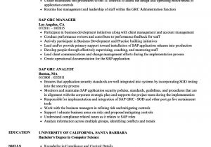 Sap Bpc Resume Samples Sap Bpc Resume Samples Nyustraus org Exaple Resume and