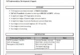 Sap Fico Fresher Resume Sample Sap Fico Resume format