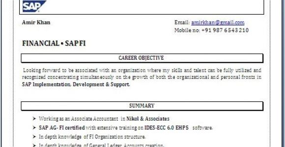 Sap Fico Fresher Resume Sample Sap Fico Resume format
