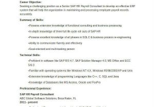 Sap Hcm Resume Sample 52 Resume format Samples Sample Templates