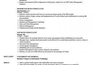 Sap Hcm Resume Sample Sap Hcm Resume Samples Velvet Jobs