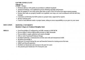Sap Hcm Resume Sample Sap Hr Consultant Resume Samples Velvet Jobs