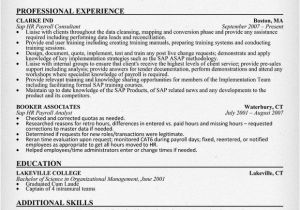 Sap Hcm Resume Sample Sap Hr Payroll Consultant Resume Sample Resumecompanion