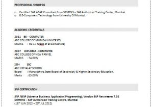 Sap Pm Fresher Resume format Over 10000 Cv and Resume Samples with Free Download Sap