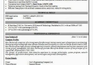 Sap Resume Samples for Freshers Sap Abap Resume format