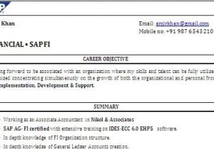 Sap Resume Samples for Freshers Sap Fico Resume format