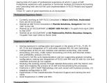 Sap Security Consultant Resume Samples Example Resumes for Sap Jobs Perfect Resume format
