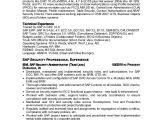 Sap Security Consultant Resume Samples Shakil Sap Security Resume 2