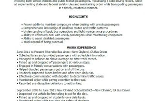 School Bus Driver Resume Template Bus Driver Resume Sample Best Professional Resumes