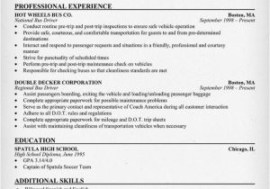 School Bus Driver Resume Template Example Resume July 2015