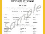 Scissor Lift Certification Card Template Aerial Lift Certification Card Template Blogihrvati Com