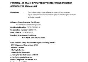 Seafarer Resume Sample Jay R Cv Ab Crane Operator Offshore Crane Operator Offshore