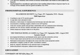 Security Guard Resume format In Word Security Guard Resume Sample Writing Tips Resume Companion