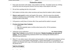 Seizure Action Plan Template top 6 Seizure Action Plan Templates Free to Download In