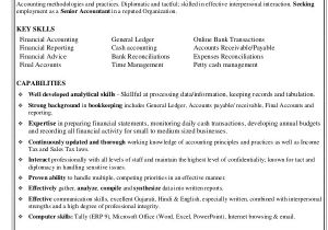 Senior Accountant Resume format In Word 30 Accountant Resume Templates Pdf Doc Free