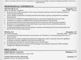 Senior Accountant Resume format In Word Senior Accountant Consultant Resume Samples Across All