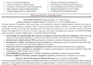 Senior Sales Manager Resume Sample Resume Sample 16 Senior Sales Executive Resume Career