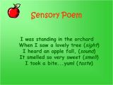 Sensory Poem Template by Mrs Hicks Poetry Samples by Susan Silverman An Apple A