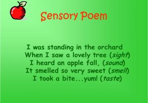 Sensory Poem Template by Mrs Hicks Poetry Samples by Susan Silverman An Apple A